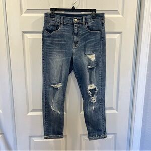 Urban Outfitters BDG Crop Twig High Rise Skinny Jeans Distressed Blue Denim 30
